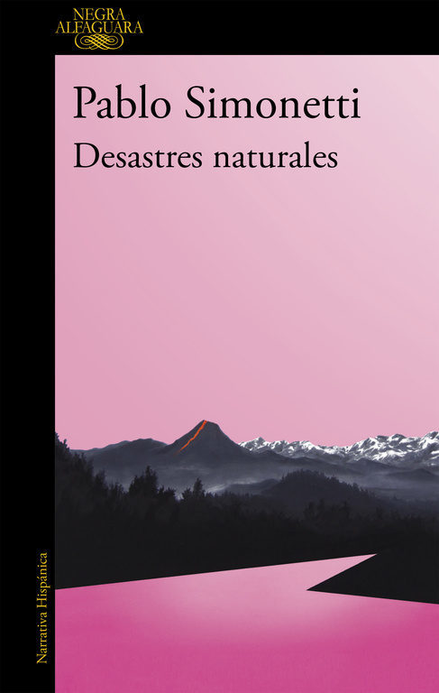 Portada de DESASTRES NATURALES