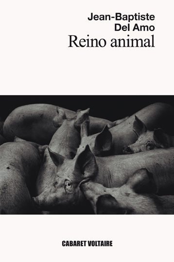 Portada de REINO ANIMAL