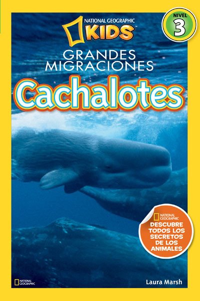 Portada de CACHALOTES