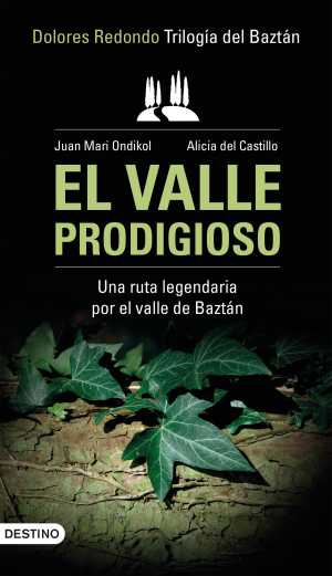 Portada de EL VALLE PRODIGIOSO