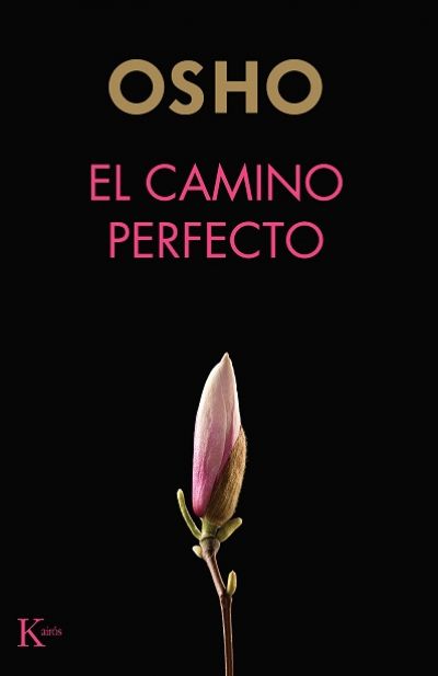 Portada de EL CAMINO PERFECTO