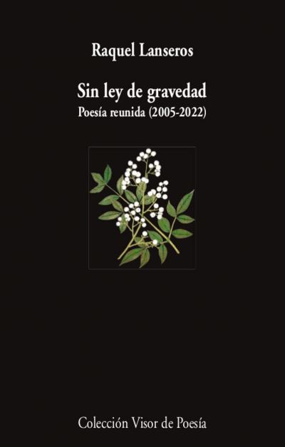 Portada de SIN LEY DE GRAVEDAD