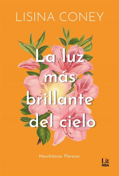 Portada de LA LUZ MÁS BRILLANTE DEL CIELO