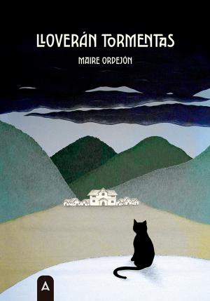Portada de LLOVERÁN TORMENTAS