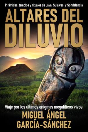 ALTARES DEL DILUVIO