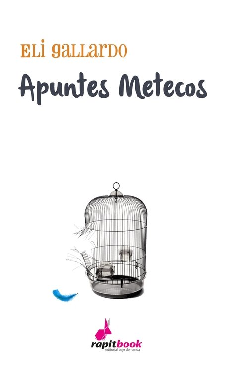 Portada de APUNTES METECOS